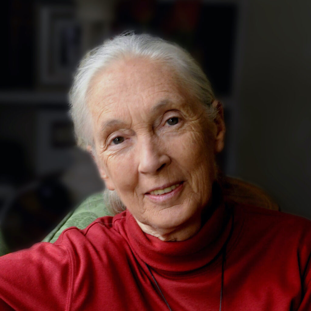 Dr. Jane Goodall, DBE, UN Messenger of Peace